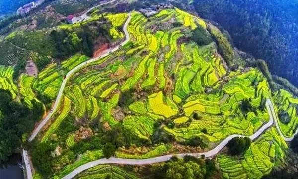 浙江最美的古村，全在浦江～