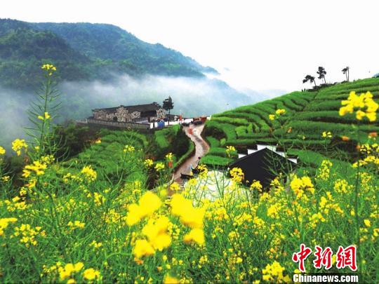 浙江浦江鄉(xiāng)村逆襲記：精耕細(xì)作煥新顏 青山綠水入畫來。浦江縣農(nóng)辦提供